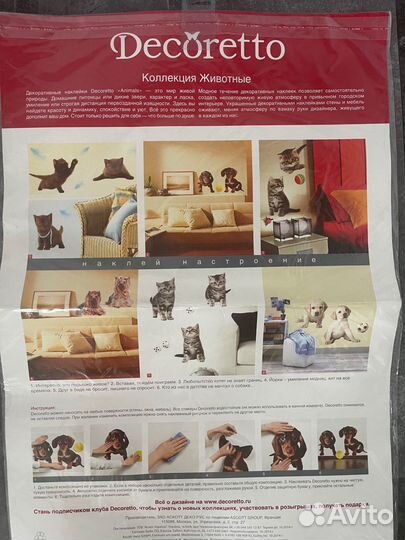 Йоркширский терьер