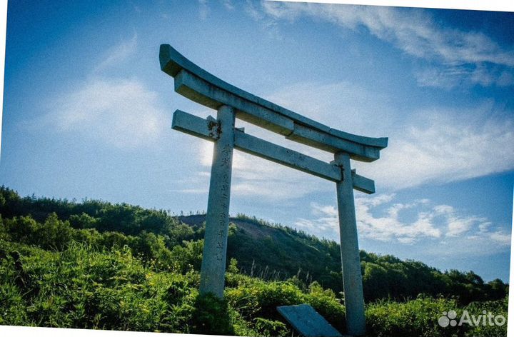 Летом на Сахалин тур поездка экскурсии 5-6 дн