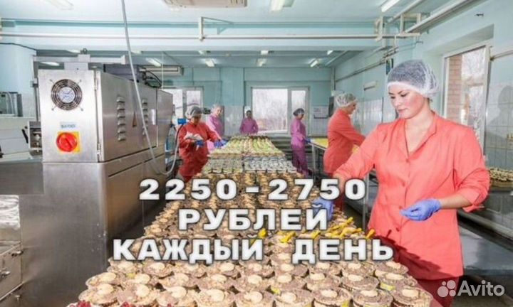 Кондитер с ежедневной оплатой