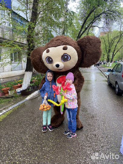 Чебурашка, экспресс поздравление
