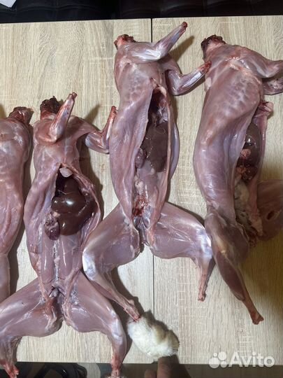 Мясо кролика. Тушка