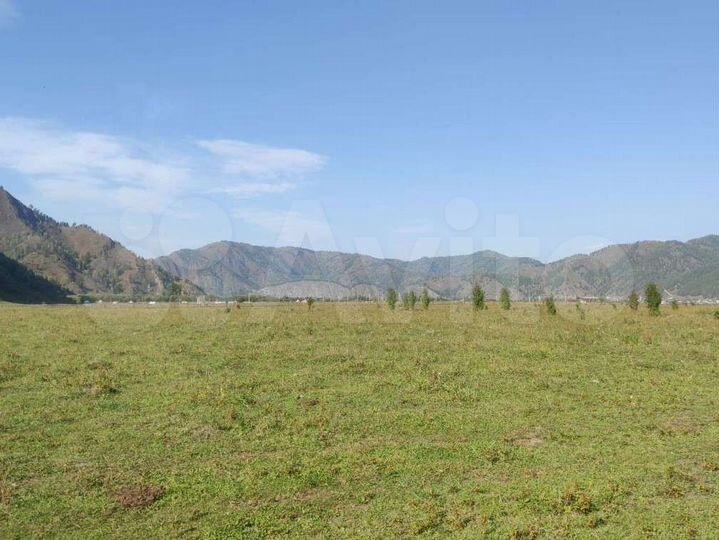 Участок 24 сот. (СНТ, ДНП)