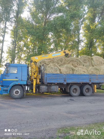 КАМАЗ 65117 с КМУ, 2013