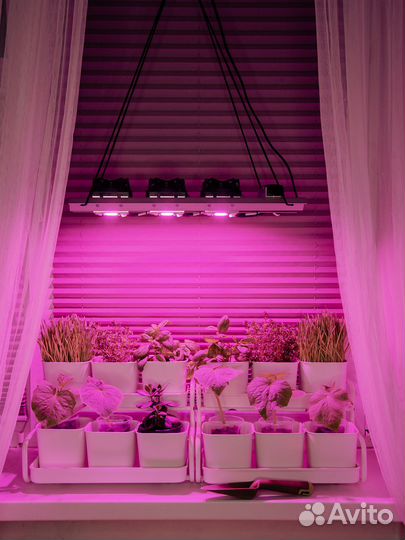 Фитолампа для растений опт и розница