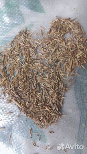 Семена люцерны,суданки,эспарцета