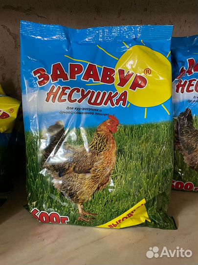 Здравур Несушка для кур-несушек и др