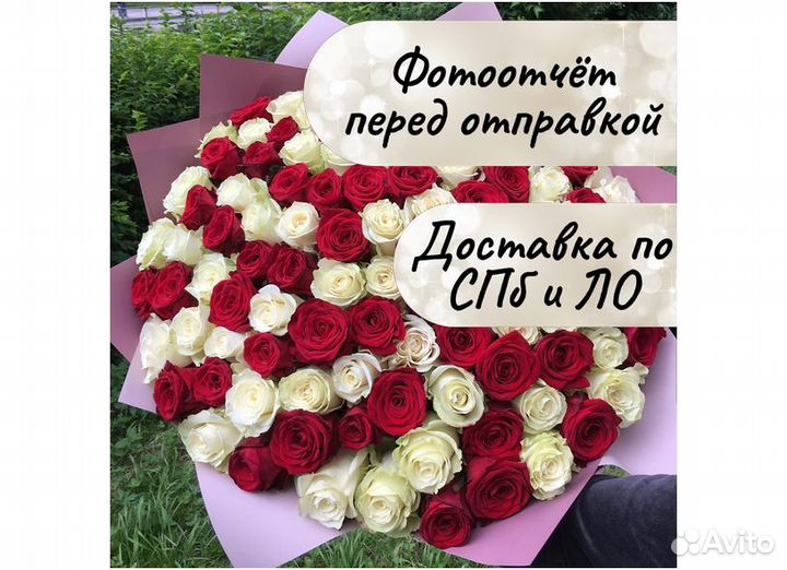 Розы цветы букеты с доставкой 101 51 31 роза