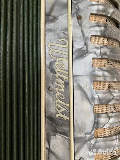 Баян weltmeister