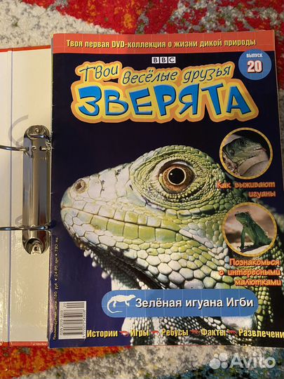 Твои веселые друзья зверята- диски и журналы