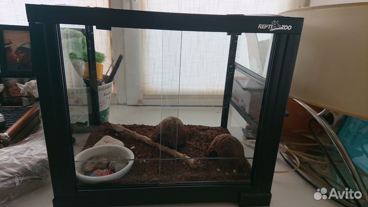 Террариум для рептилий Reptizoo