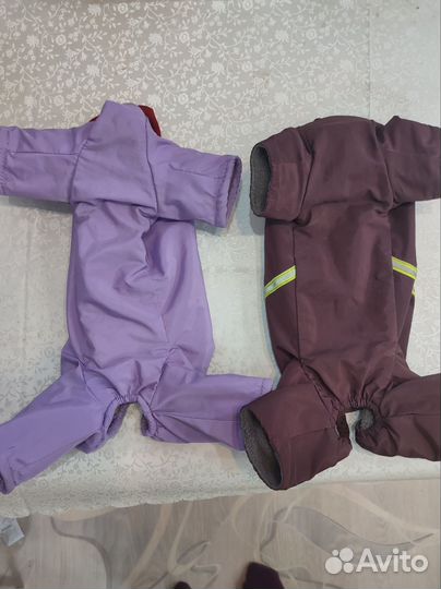 Одежда для маленьких пород собак