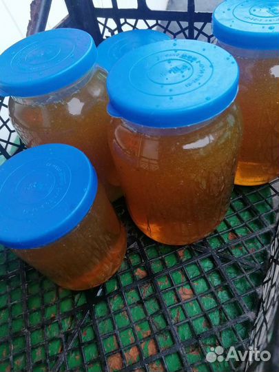 Мёд, пыльца