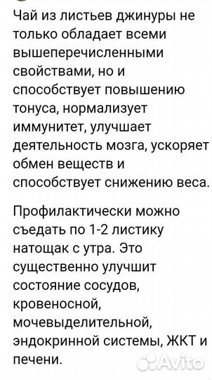 Джинура(листья бога)