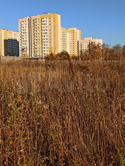 Участок 6,2 сот. (СНТ, ДНП)