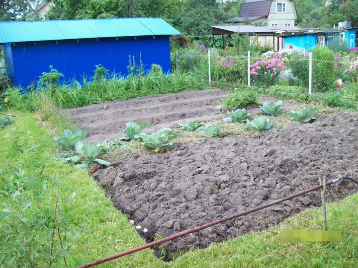 Дача 40 м² на участке 4 сот.