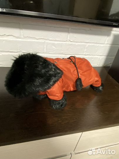 Одежда для собак