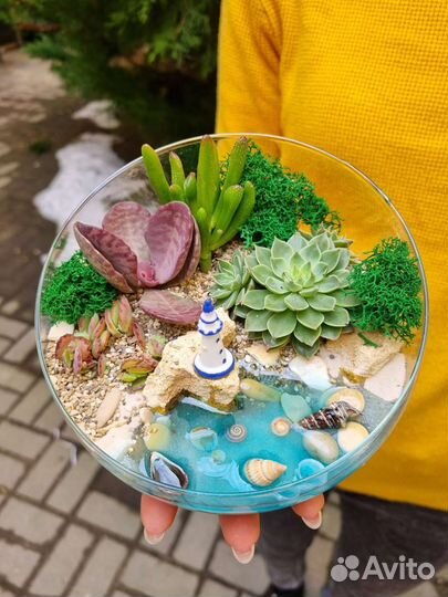 Флорариумы Минимир (размер М)