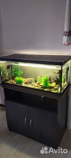 Аквариум