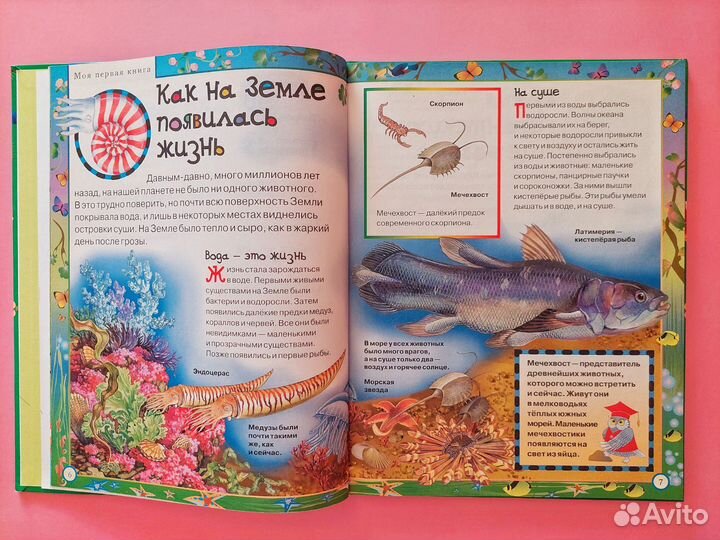 Книга о животных