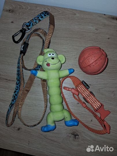 Набор для собачки