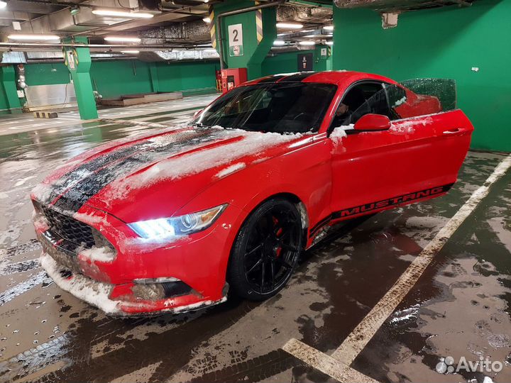 Чип тюнинг Ford mustang