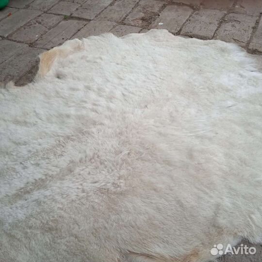 Шкуры выделаная (мех обувной 1000 штук)