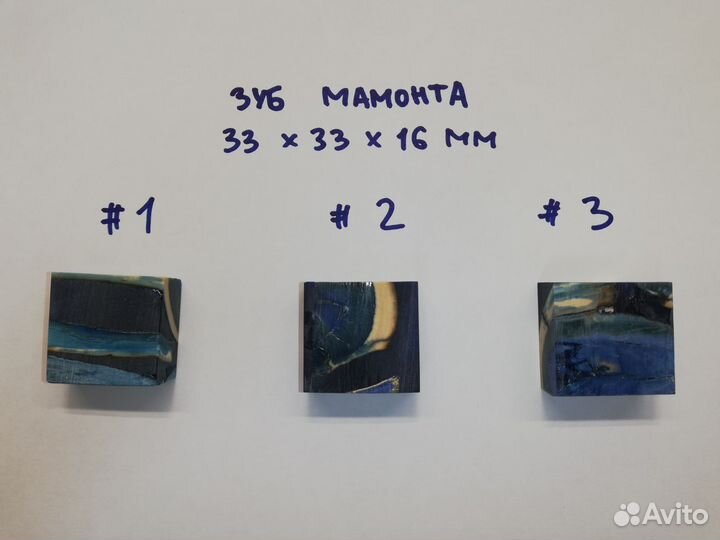 Стабилизированный зуб мамонта