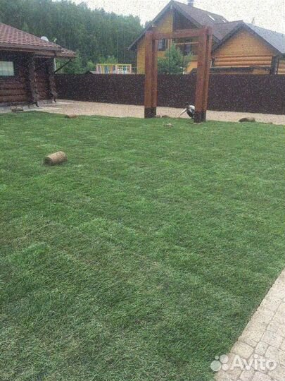 Укладка и продажа газона стандарт