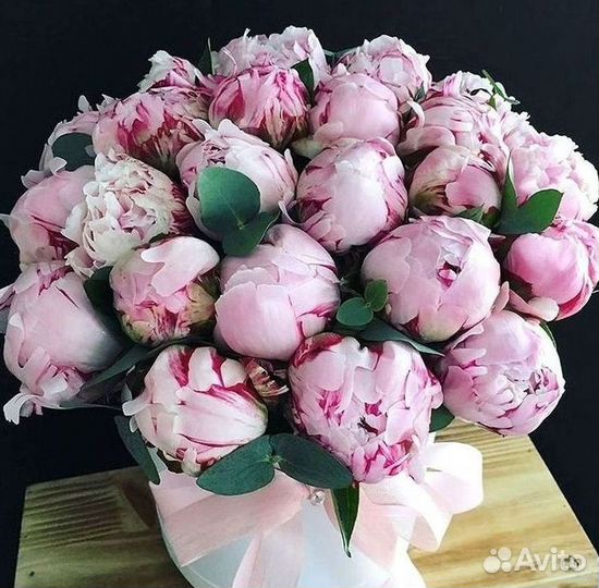 Пионы Цветы Доставка