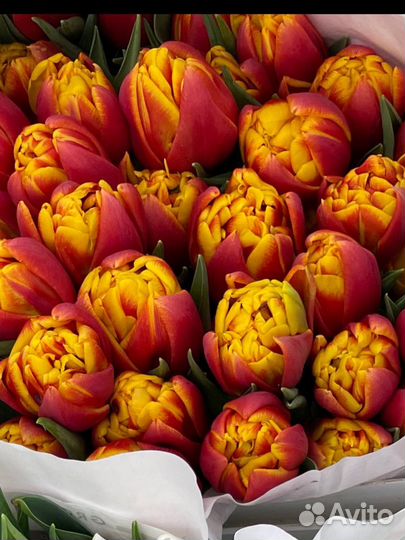 Пионавидные тюльпаны на 6,7,8 марта