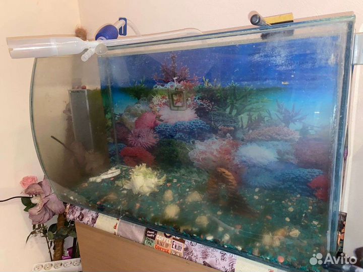 Аквариум