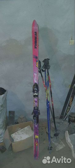 Горные лыжи