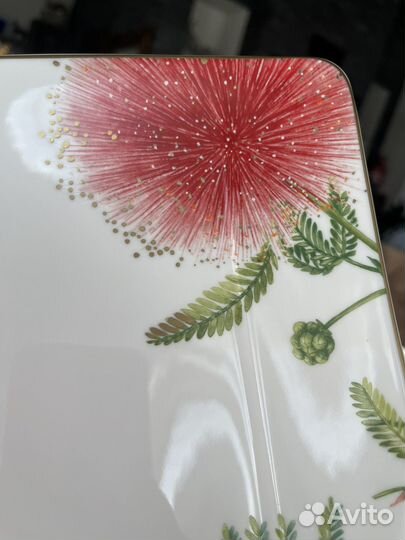 Villeroy boch блюдо Amazonia