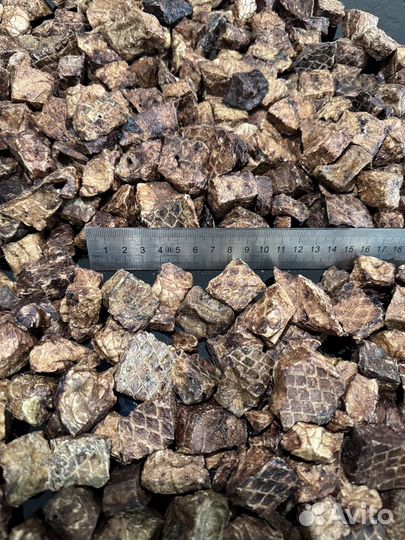 Лакомства для собак