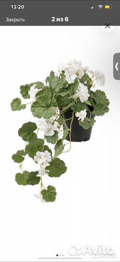 Декор для дома