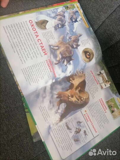 Детские энциклопедии