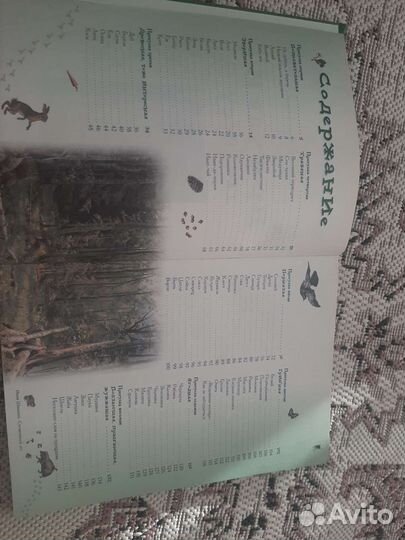 Детские энциклопедии