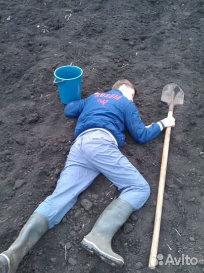 Чернозем грунт плодородный навоз 5-20 куб