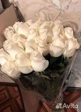 Высокие розы Гигантские Розы 150 160 170 180 190см