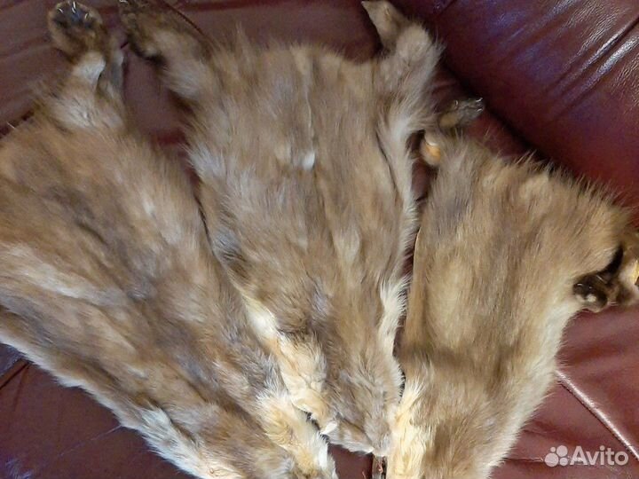Шкурки куницы,Уральская,лесная
