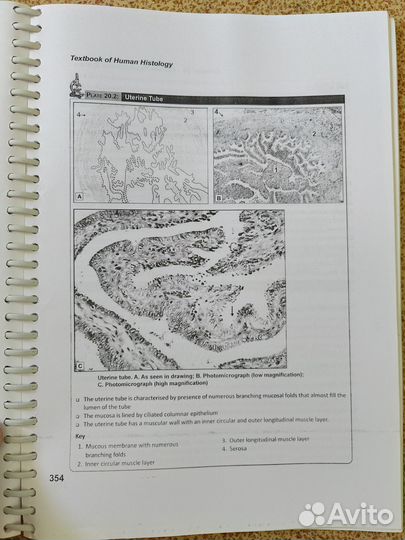 Human Histology and Medical Pharmacology