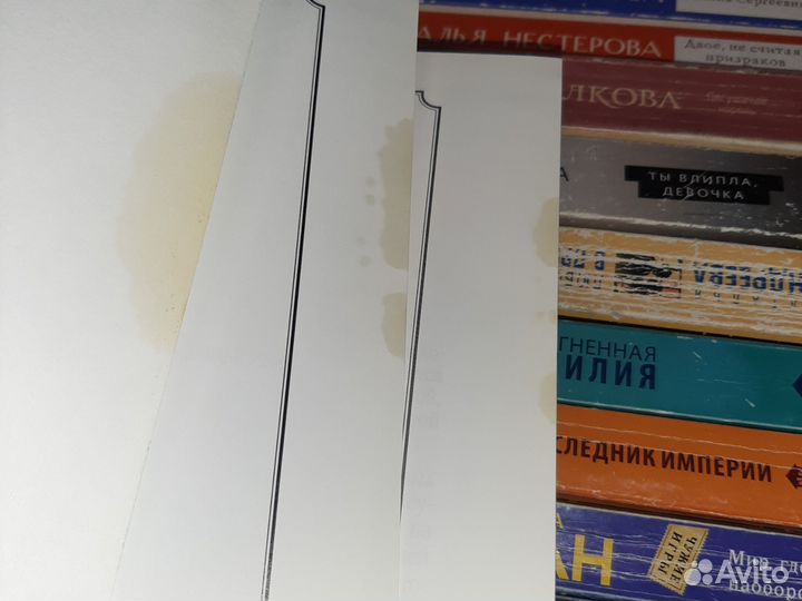 Очерки из истории Тамбовского края И. И. Дубасов