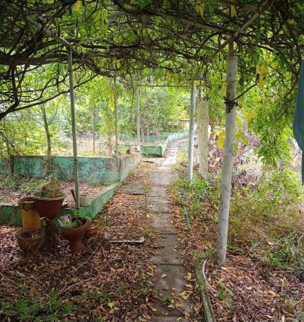 Участок 9,5 сот. (СНТ, ДНП)