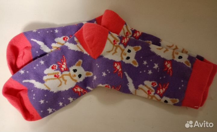 Носки с котиками