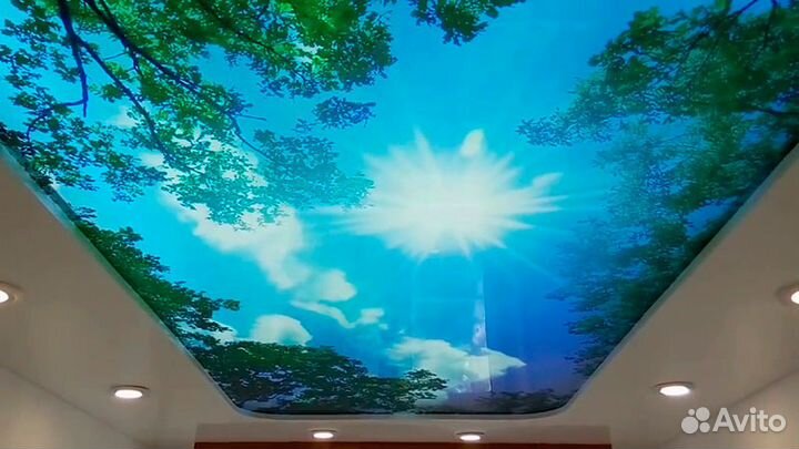 Натяжные потолки 59