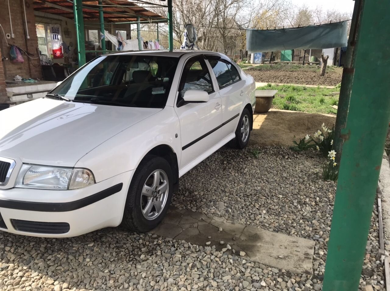 Skoda Octavia: фото владельца