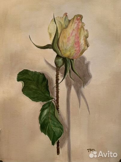 Уроки рисования изо (очно и онлайн)