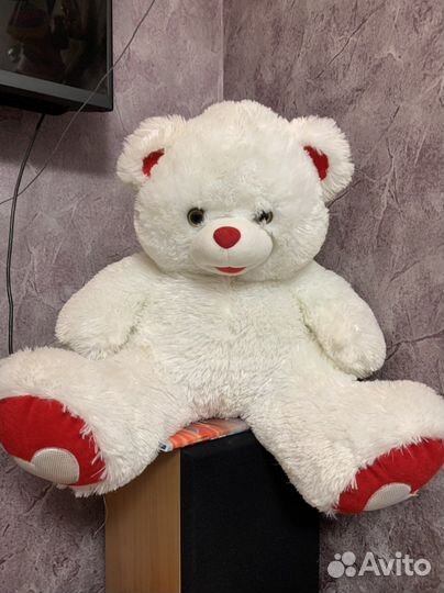 Медведь ночник