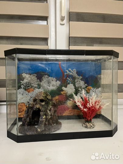 Аквариум 20 литров