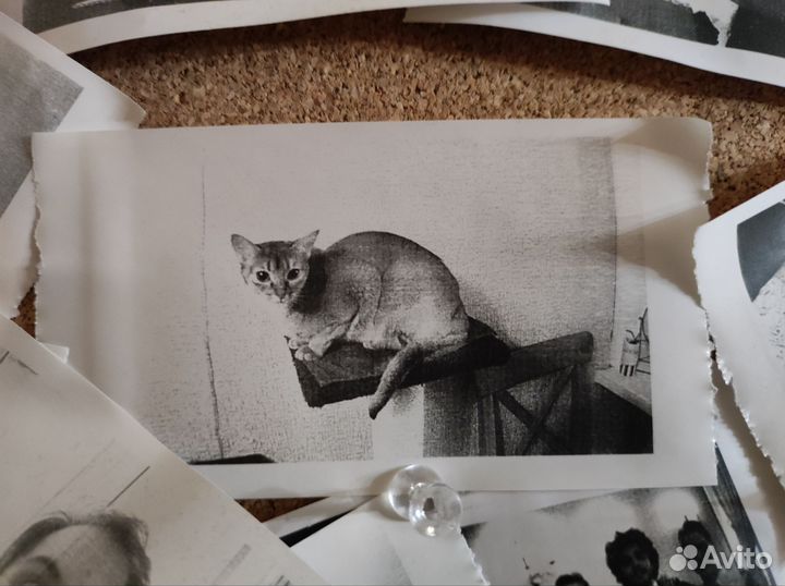 Детский фотоаппарат